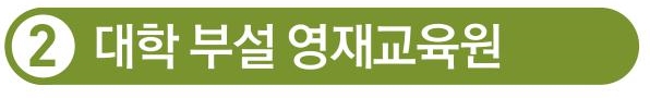 2-4 대학부설 영재교육원